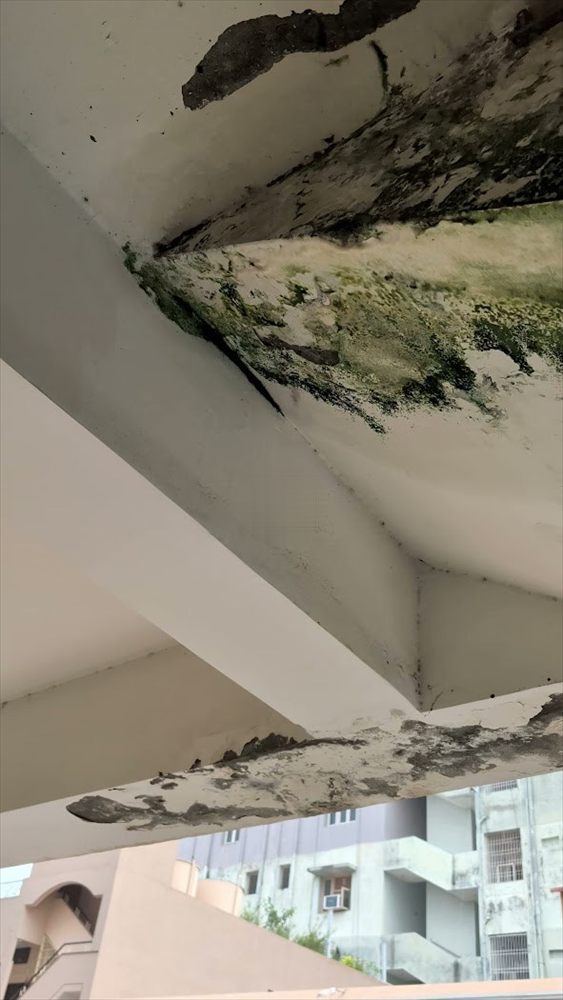 Damp and mould damage on a ceiling before treatment
