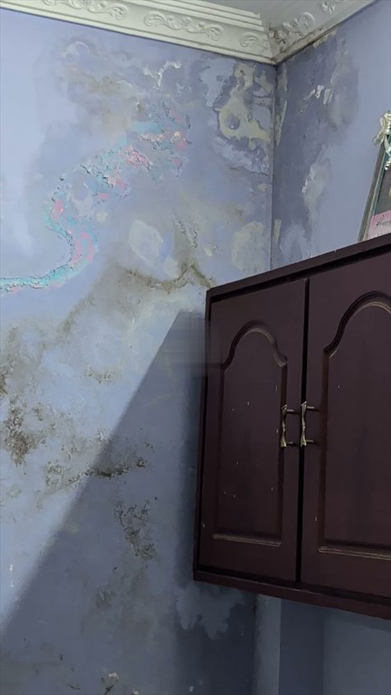 Damp spreading on a wall above a wardrobe