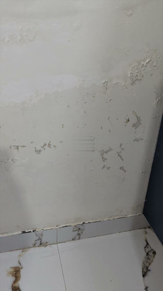 Damp and staining at a wall corner near the floor